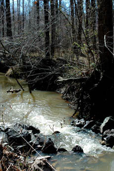 Mud Creek waterfall